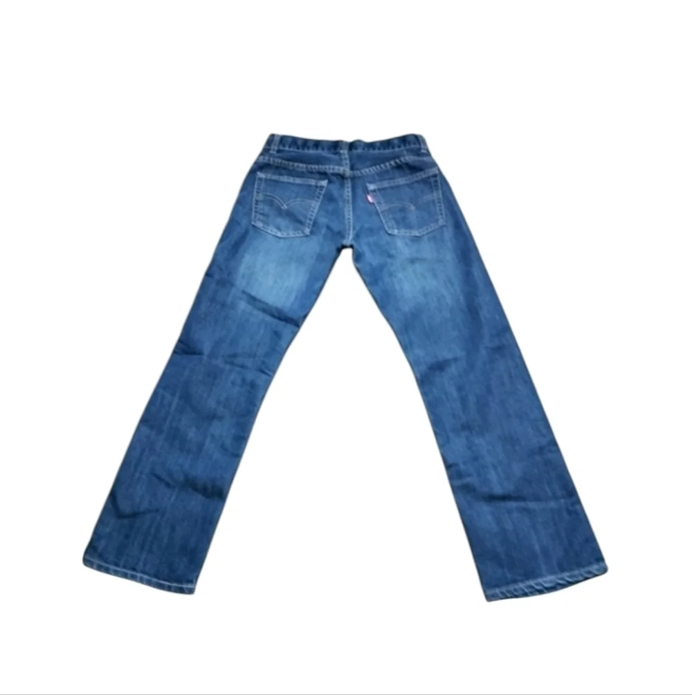 Levis stylish levi